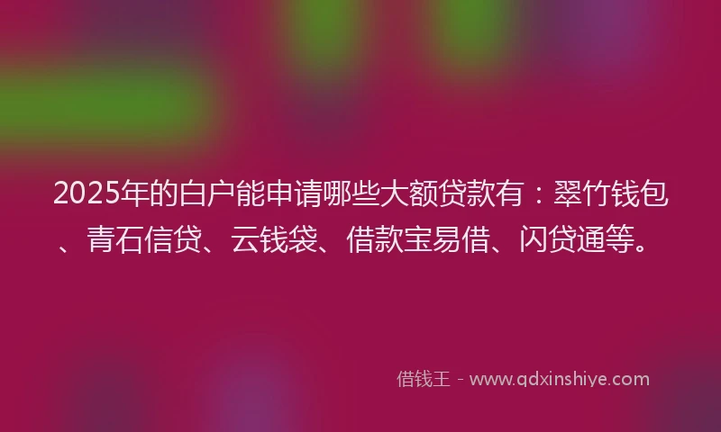 2025年的白户能申请哪些大额贷款有：翠竹钱包、青石信贷、云钱袋、借款宝易借、闪贷通等。