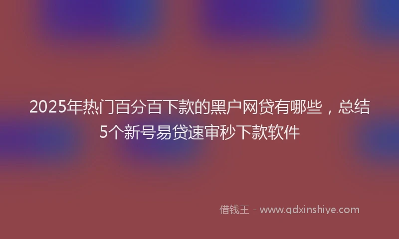 2025年热门百分百下款的黑户网贷有哪些，总结5个新号易贷速审秒下款软件