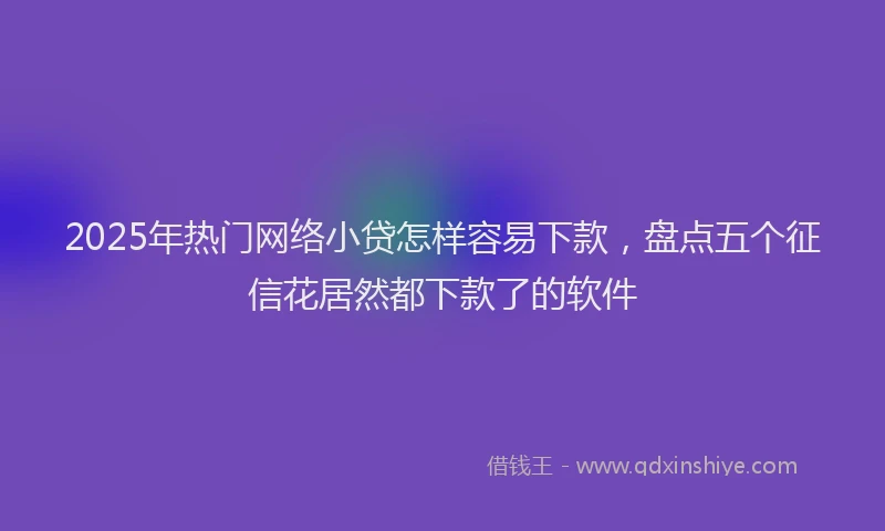 2025年热门网络小贷怎样容易下款，盘点五个征信花居然都下款了的软件