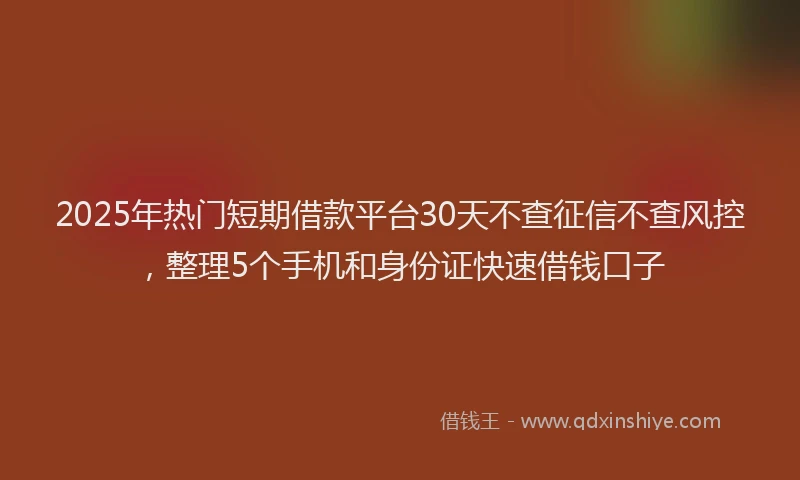 2025年热门短期借款平台30天不查征信不查风控，整理5个手机和身份证快速借钱口子