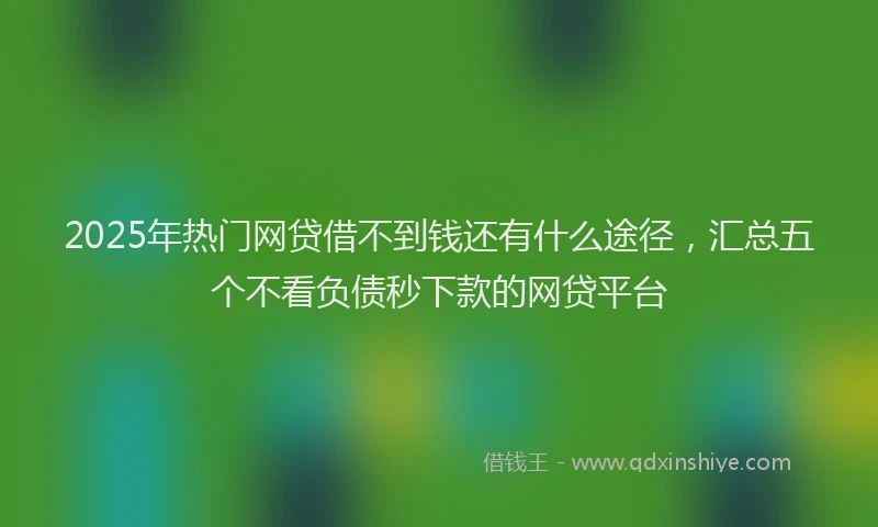 2025年热门网贷借不到钱还有什么途径，汇总五个不看负债秒下款的网贷平台