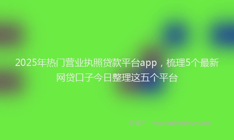 2025年热门营业执照贷款平台app，梳理5个最新网贷口子今日整理这五个平台
