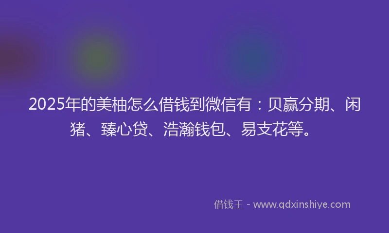 2025年的美柚怎么借钱到微信有：贝赢分期、闲猪、臻心贷、浩瀚钱包、易支花等。