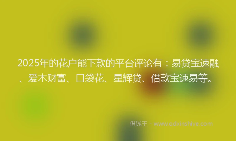 2025年的花户能下款的平台评论有：易贷宝速融、爱木财富、口袋花、星辉贷、借款宝速易等。