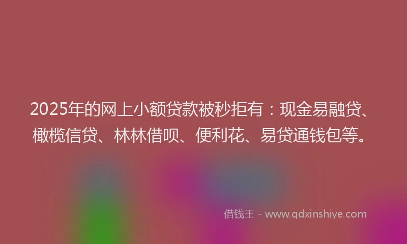 2025年的网上小额贷款被秒拒有：现金易融贷、橄榄信贷、林林借呗、便利花、易贷通钱包等。