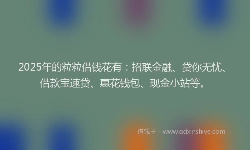 2025年的粒粒借钱花有：招联金融、贷你无忧、借款宝速贷、惠花钱包、现金小站等。