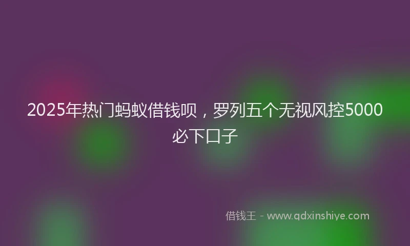 2025年热门蚂蚁借钱呗，罗列五个无视风控5000必下口子