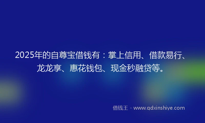 2025年的自尊宝借钱有：掌上信用、借款易行、龙龙享、惠花钱包、现金秒融贷等。