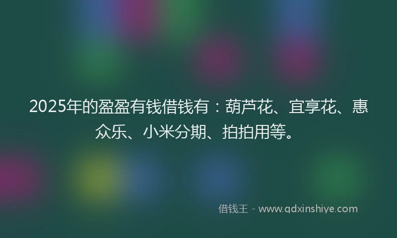 2025年的盈盈有钱借钱有：葫芦花、宜享花、惠众乐、小米分期、拍拍用等。