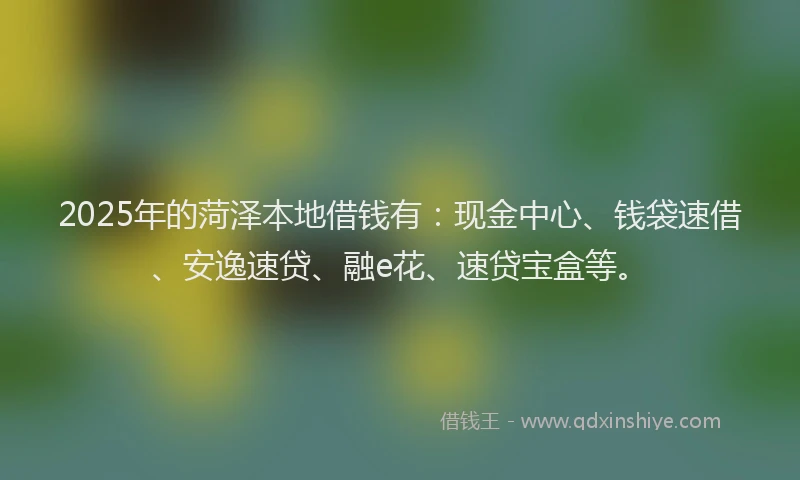 2025年的菏泽本地借钱有：现金中心、钱袋速借、安逸速贷、融e花、速贷宝盒等。