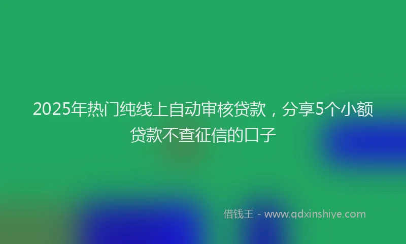 2025年热门纯线上自动审核贷款，分享5个小额贷款不查征信的口子