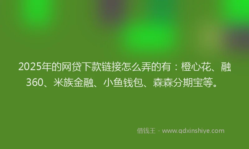2025年的网贷下款链接怎么弄的有：橙心花、融360、米族金融、小鱼钱包、森森分期宝等。