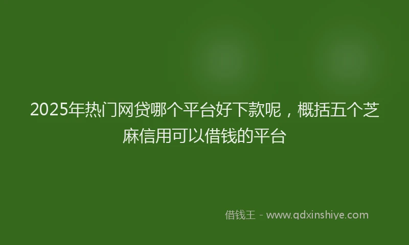 2025年热门网贷哪个平台好下款呢，概括五个芝麻信用可以借钱的平台