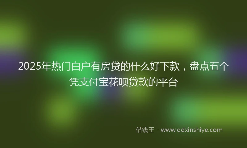 2025年热门白户有房贷的什么好下款，盘点五个凭支付宝花呗贷款的平台