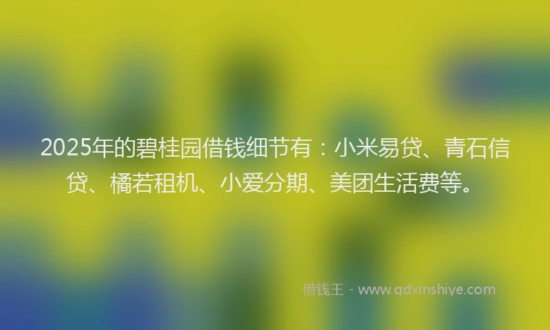 2025年的碧桂园借钱细节有：小米易贷、青石信贷、橘若租机、小爱分期、美团生活费等。