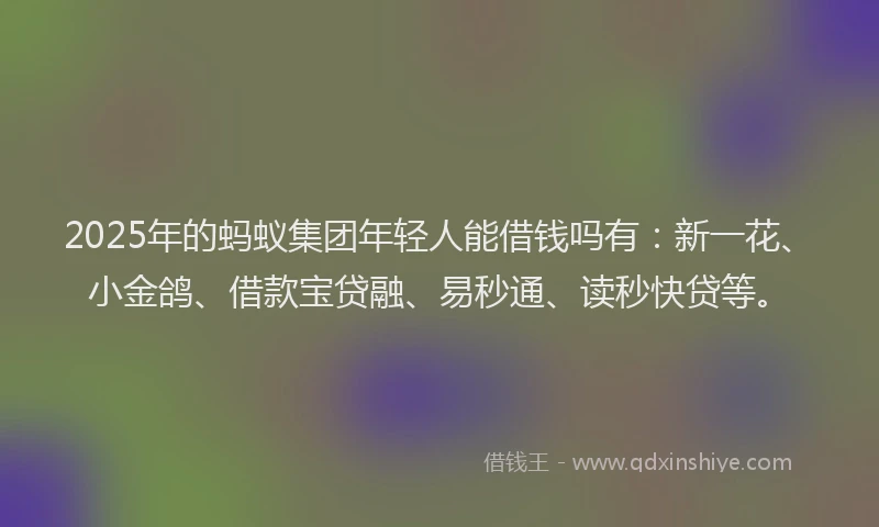 2025年的蚂蚁集团年轻人能借钱吗有：新一花、小金鸽、借款宝贷融、易秒通、读秒快贷等。