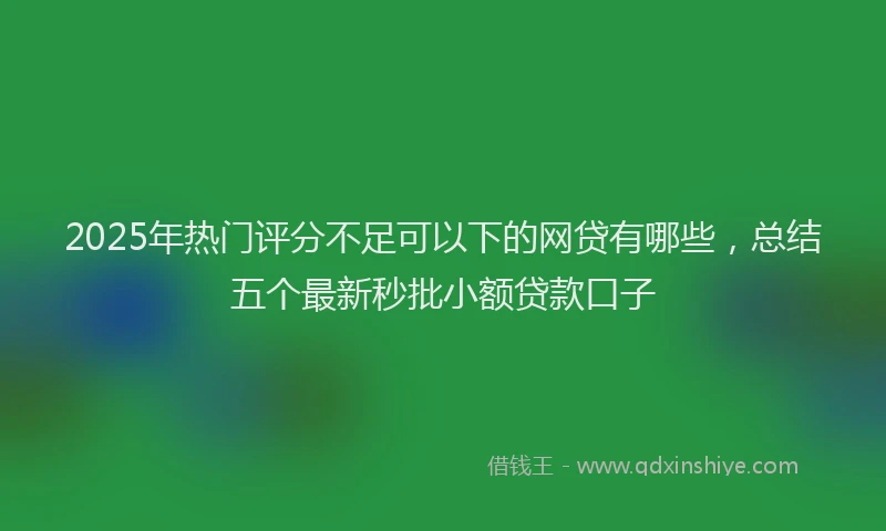 2025年热门评分不足可以下的网贷有哪些，总结五个最新秒批小额贷款口子