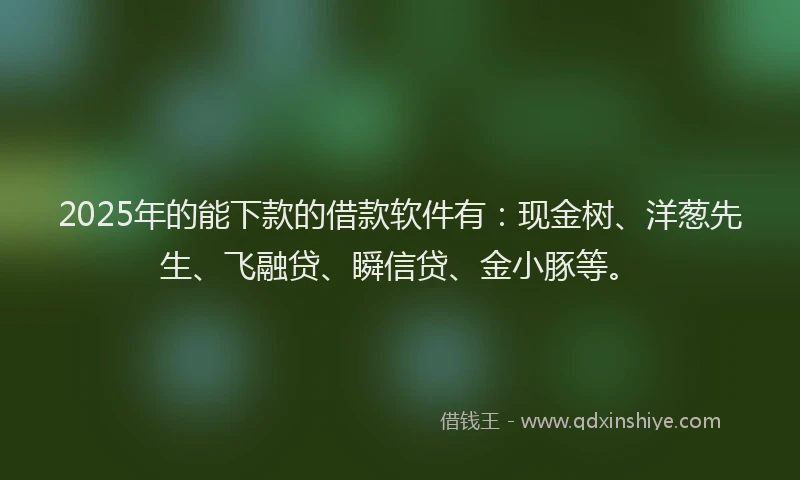 2025年的能下款的借款软件有：现金树、洋葱先生、飞融贷、瞬信贷、金小豚等。