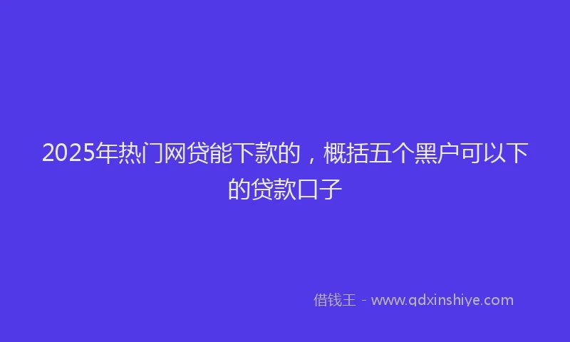 2025年热门网贷能下款的，概括五个黑户可以下的贷款口子