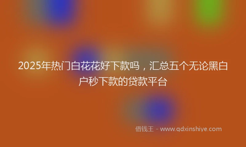 2025年热门白花花好下款吗，汇总五个无论黑白户秒下款的贷款平台