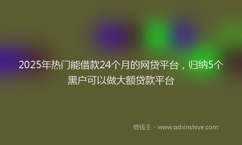 2025年热门能借款24个月的网贷平台，归纳5个黑户可以做大额贷款平台