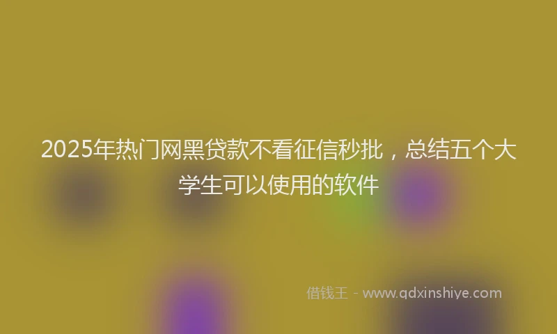 2025年热门网黑贷款不看征信秒批，总结五个大学生可以使用的软件