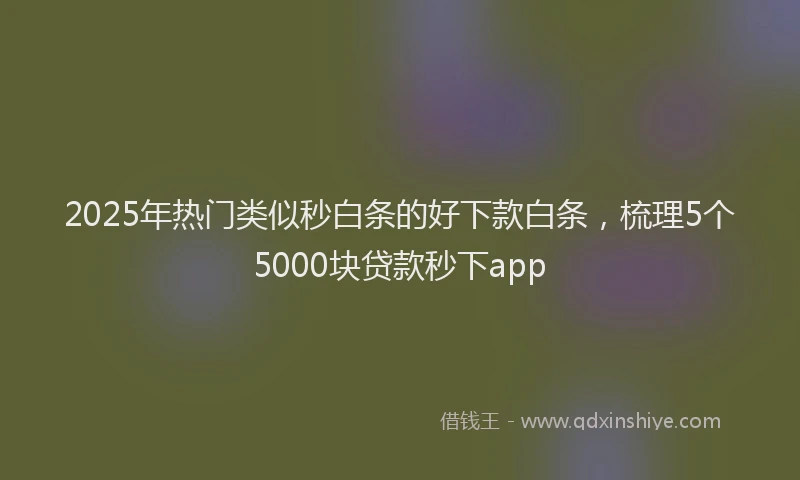 2025年热门类似秒白条的好下款白条，梳理5个5000块贷款秒下app
