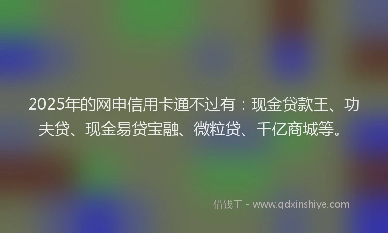 2025年的网申信用卡通不过有：现金贷款王、功夫贷、现金易贷宝融、微粒贷、千亿商城等。