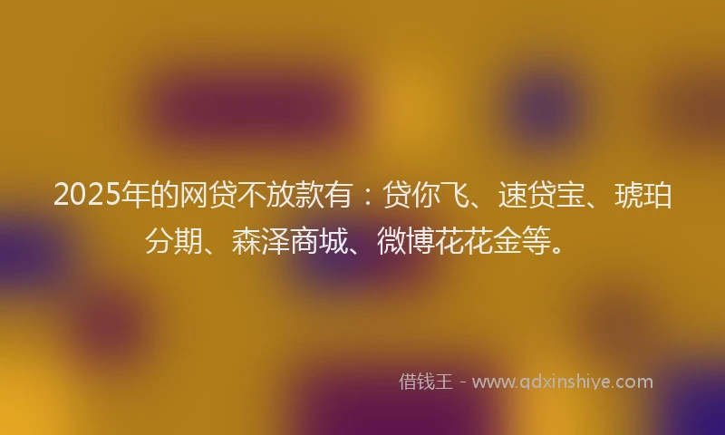 2025年的网贷不放款有：贷你飞、速贷宝、琥珀分期、森泽商城、微博花花金等。