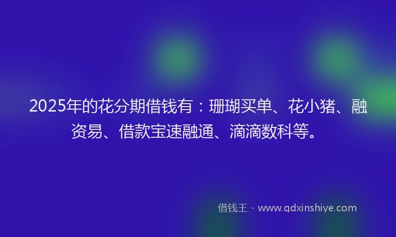 2025年的花分期借钱有：珊瑚买单、花小猪、融资易、借款宝速融通、滴滴数科等。