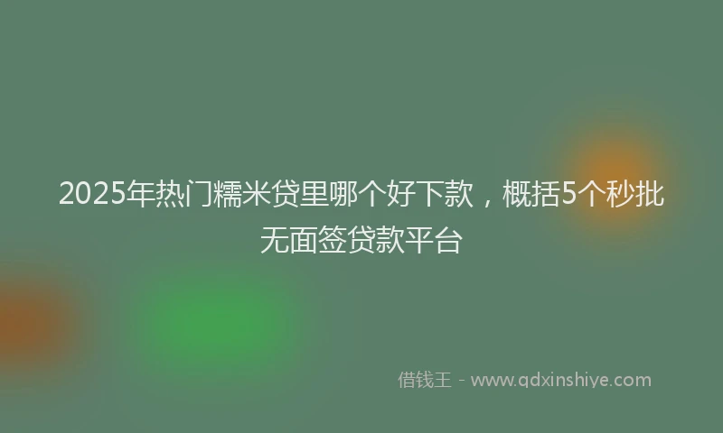 2025年热门糯米贷里哪个好下款，概括5个秒批无面签贷款平台