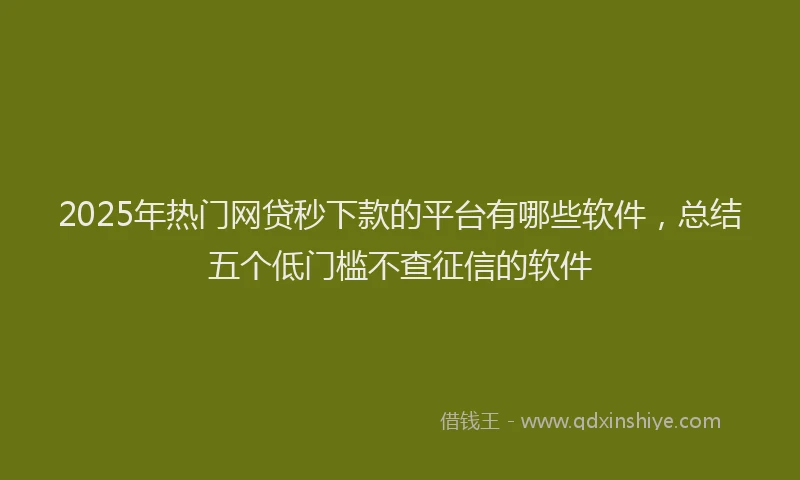 2025年热门网贷秒下款的平台有哪些软件，总结五个低门槛不查征信的软件