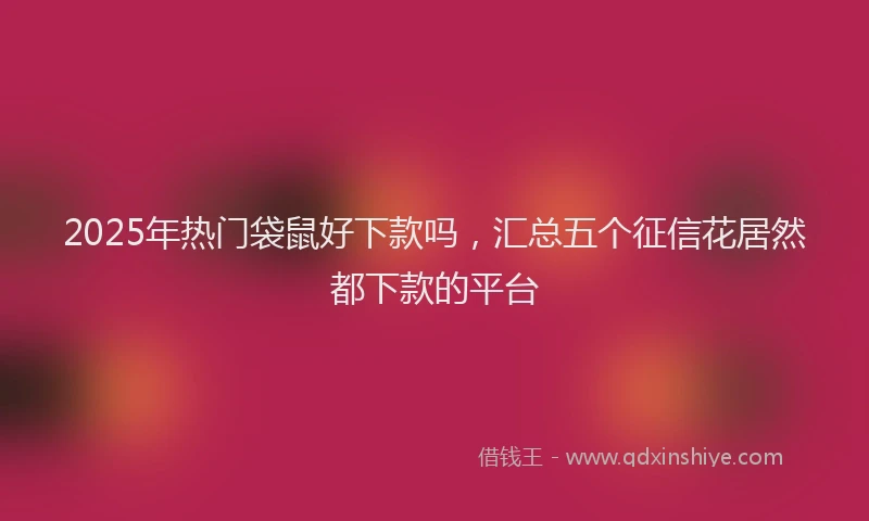2025年热门袋鼠好下款吗，汇总五个征信花居然都下款的平台