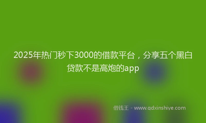 2025年热门秒下3000的借款平台，分享五个黑白贷款不是高炮的app
