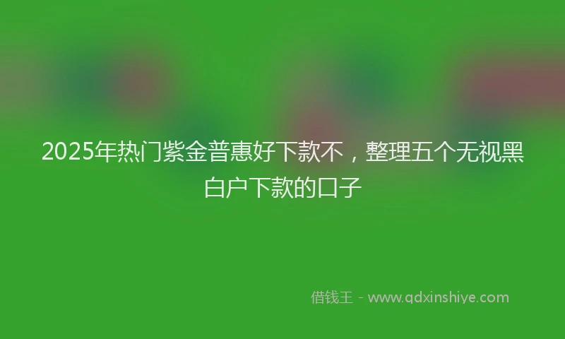 2025年热门紫金普惠好下款不，整理五个无视黑白户下款的口子