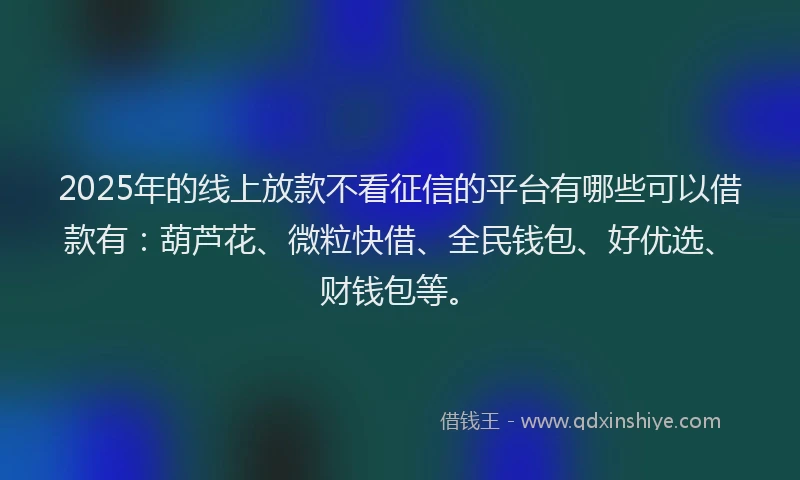 2025年的线上放款不看征信的平台有哪些可以借款有：葫芦花、微粒快借、全民钱包、好优选、财钱包等。