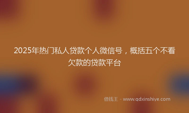 2025年热门私人贷款个人微信号，概括五个不看欠款的贷款平台