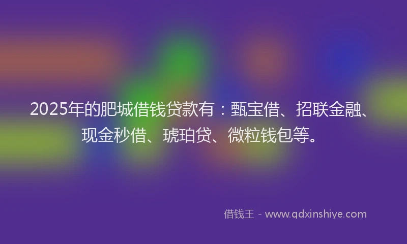 2025年的肥城借钱贷款有：甄宝借、招联金融、现金秒借、琥珀贷、微粒钱包等。