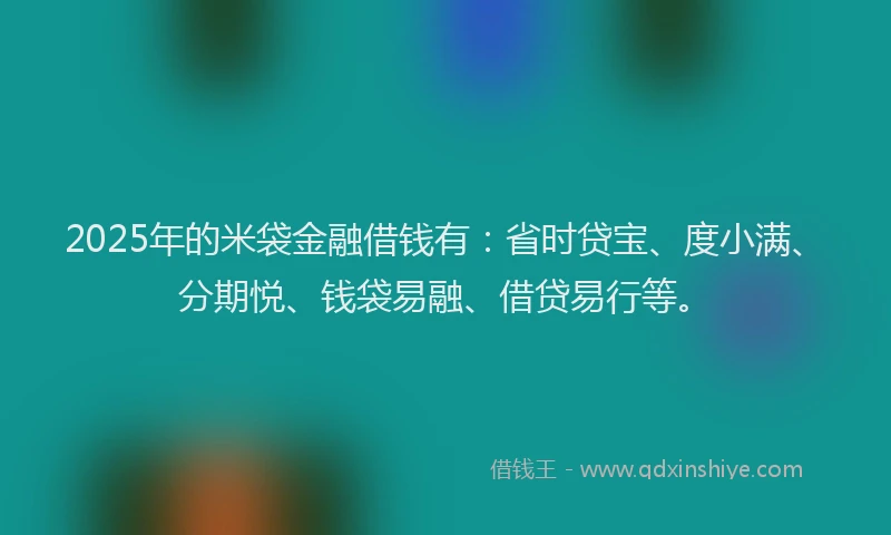 2025年的米袋金融借钱有：省时贷宝、度小满、分期悦、钱袋易融、借贷易行等。