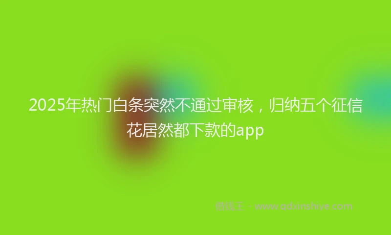 2025年热门白条突然不通过审核，归纳五个征信花居然都下款的app