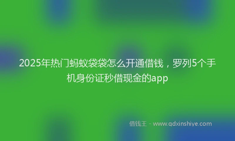 2025年热门蚂蚁袋袋怎么开通借钱，罗列5个手机身份证秒借现金的app