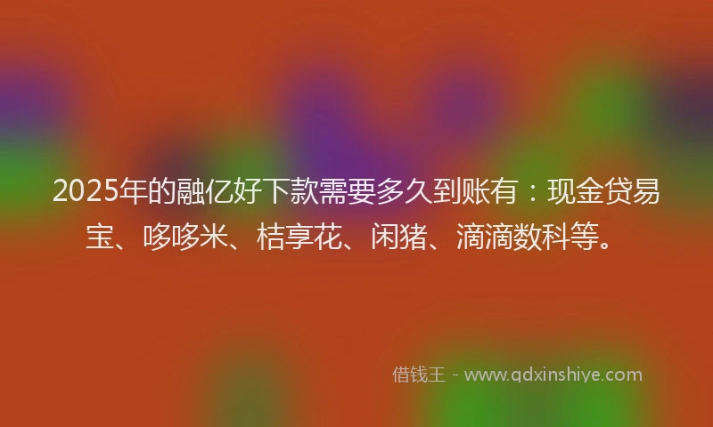 2025年的融亿好下款需要多久到账有：现金贷易宝、哆哆米、桔享花、闲猪、滴滴数科等。