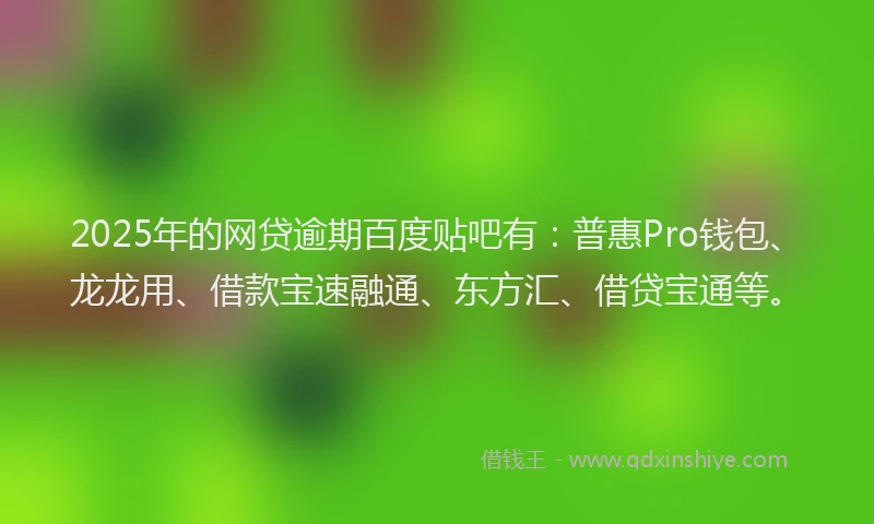 2025年的网贷逾期百度贴吧有：普惠Pro钱包、龙龙用、借款宝速融通、东方汇、借贷宝通等。
