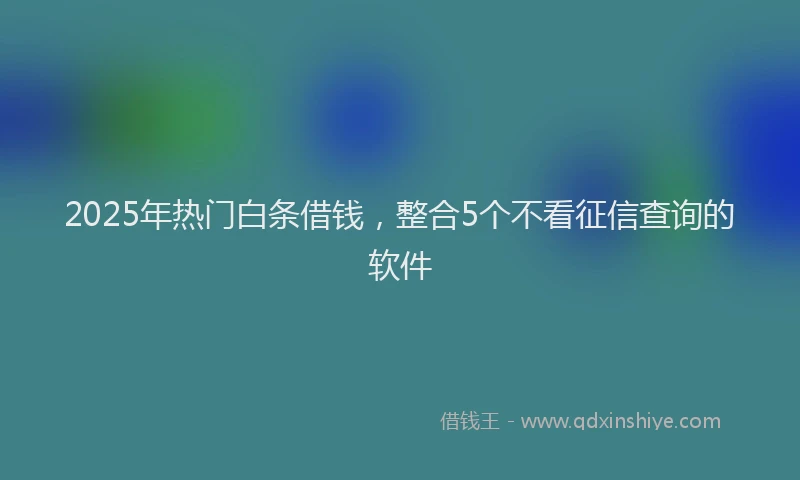 2025年热门白条借钱，整合5个不看征信查询的软件