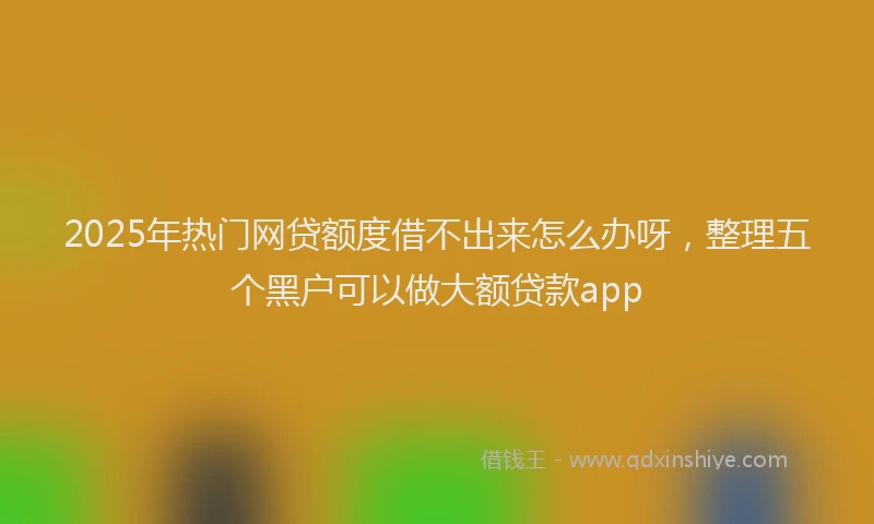 2025年热门网贷额度借不出来怎么办呀，整理五个黑户可以做大额贷款app
