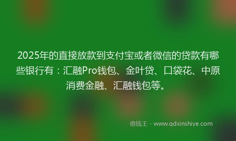 2025年的直接放款到支付宝或者微信的贷款有哪些银行有：汇融Pro钱包、金叶贷、口袋花、中原消费金融、汇融钱包等。