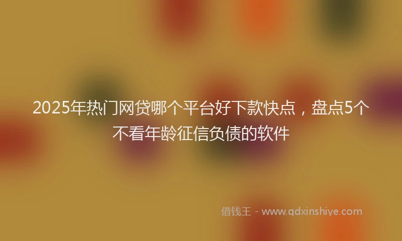 2025年热门网贷哪个平台好下款快点，盘点5个不看年龄征信负债的软件