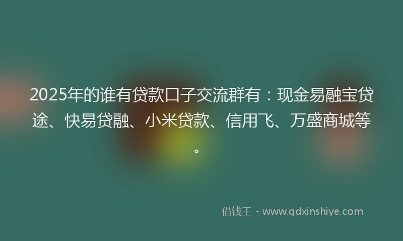 2025年的谁有贷款口子交流群有：现金易融宝贷途、快易贷融、小米贷款、信用飞、万盛商城等。