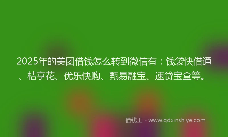 2025年的美团借钱怎么转到微信有：钱袋快借通、桔享花、优乐快购、甄易融宝、速贷宝盒等。