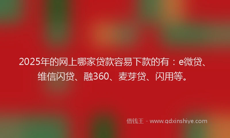 2025年的网上哪家贷款容易下款的有：e微贷、维信闪贷、融360、麦芽贷、闪用等。